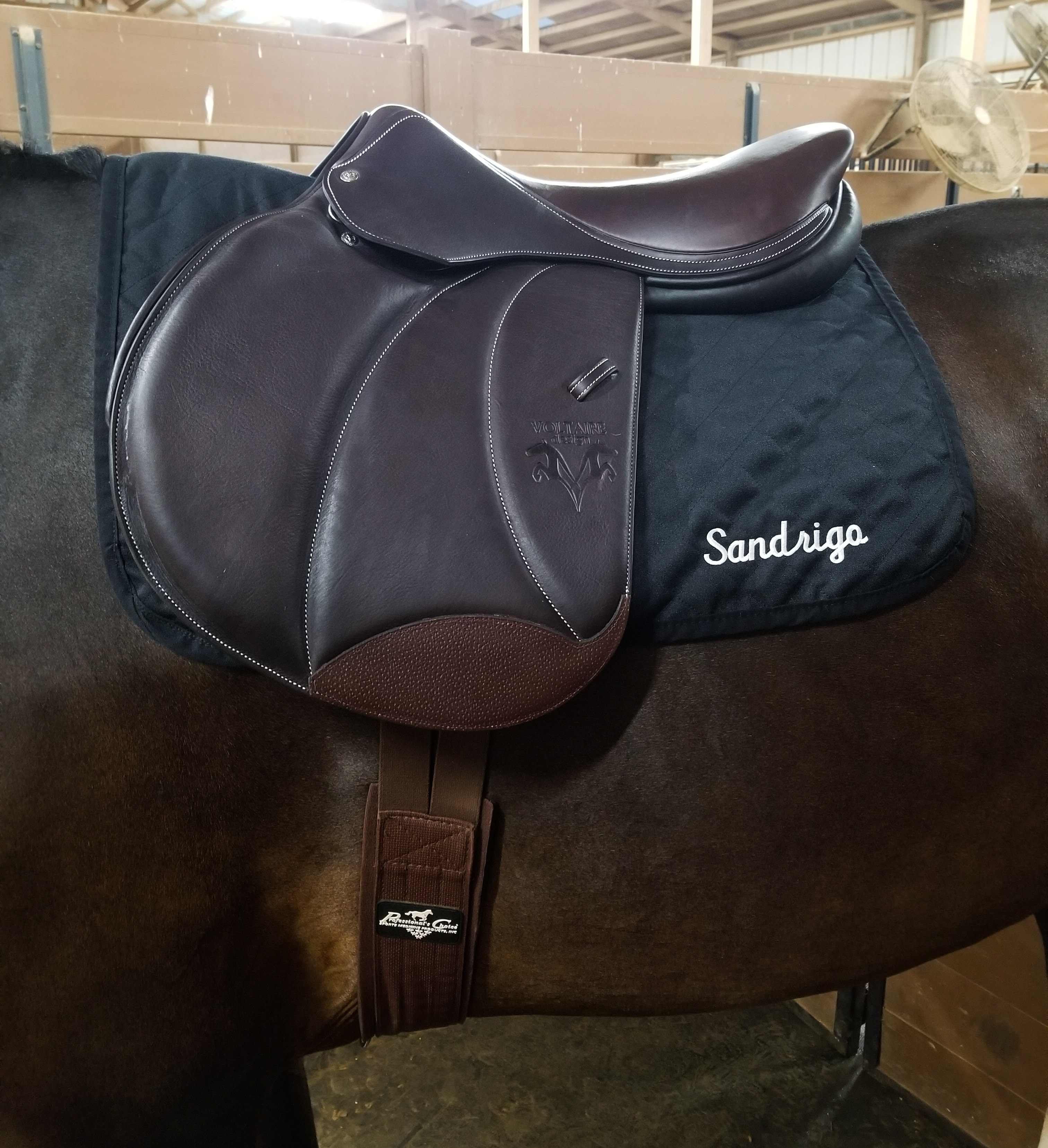 voltaire design saddle Hunky Hanoverian